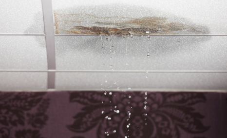 Plumber Currans Hill